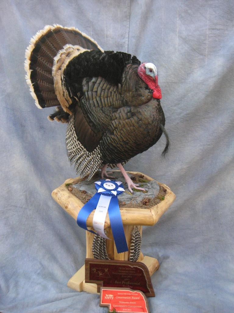 20121211-merriams-turkey-mount.jpg