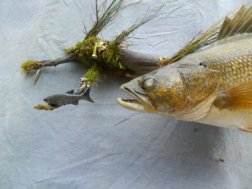 Showpiece Taxidermy: Fish, Walleye, Trout, Crappie Mounts