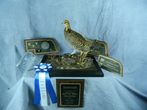 Award-winning prairie chicken taxidermist