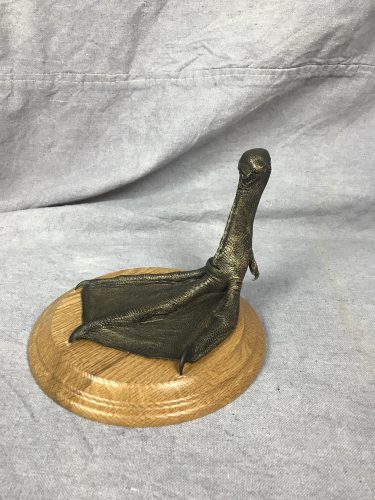 Bronzed swan foot; Columbia, SD