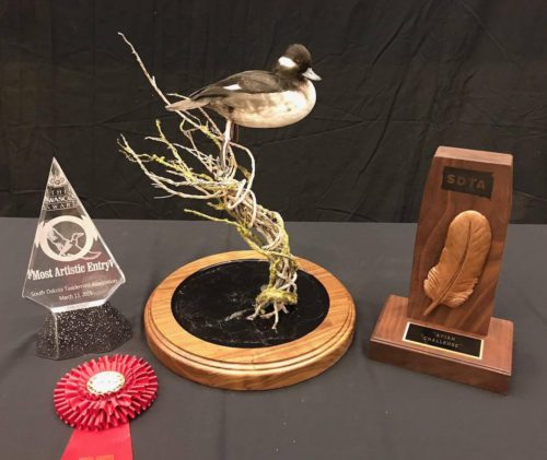 Bufflehead Mount; SD Taxidermy Competition Awards