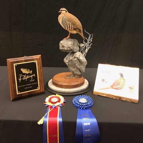 Chukar Mount; South Dakota Taxidermy Competition Awards